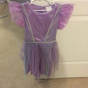 Fairy Princess Costume